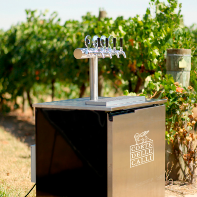 Prosecco DOC Treviso в кегах - новинка!
